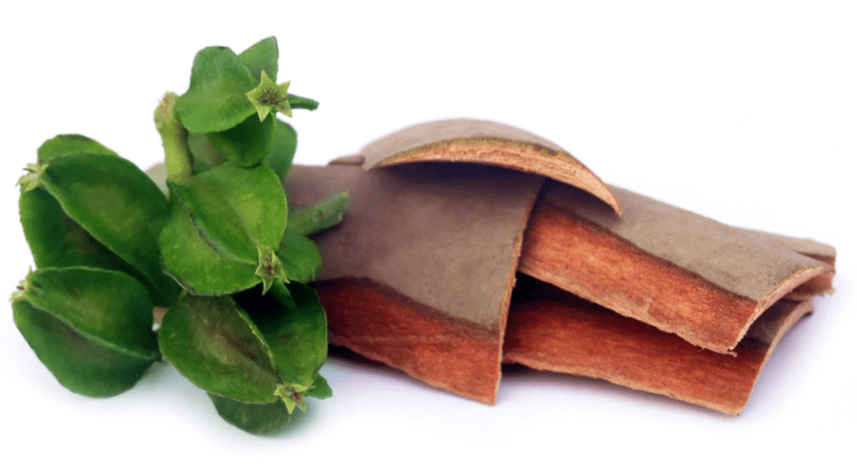 Arjuna bark as part of ink protein